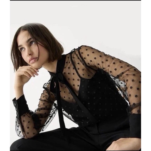 J.CREW Tops - J Crew Sheer Tie Neck Long Sleeve Button Blouse Black Dotted Polka Dot Tulle S